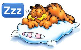 http://www.happywivesclub.com/storage/garfield%20sleeping.jpg